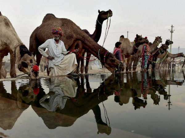 मंदिरों के दर्शन