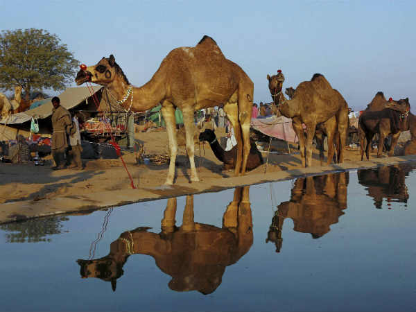 सांस्कृतिक कार्यक्रम 