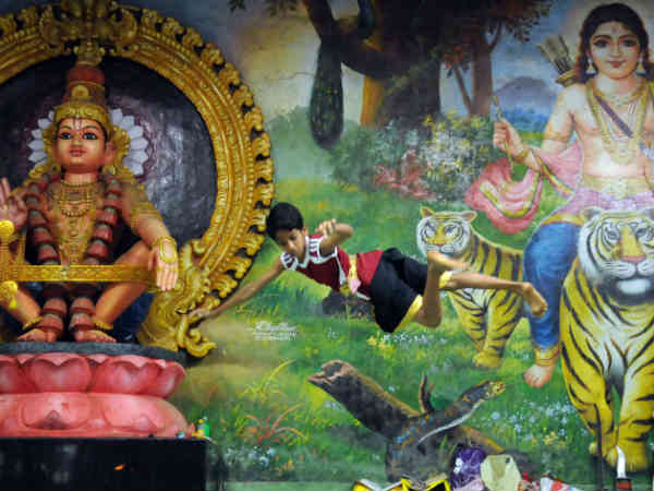 भारत का मसालों का बाग