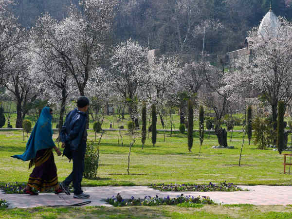 कश्मीर में बर्फबारी 