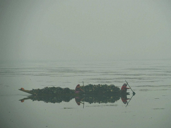 मौसम विभाग