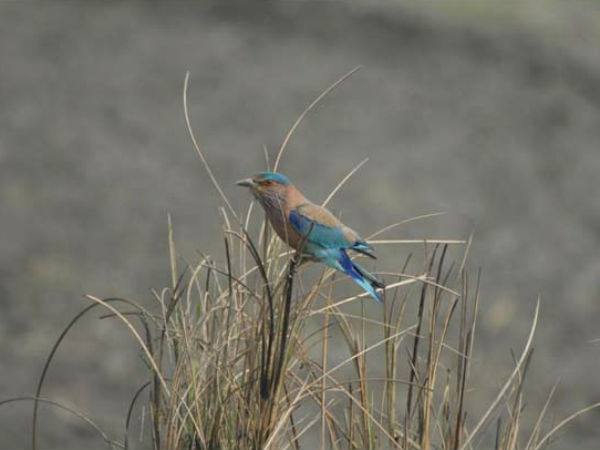 कुदनकुलम