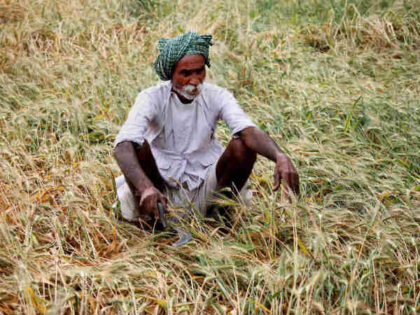 कृषि में जोखिम घटा कम होगा 