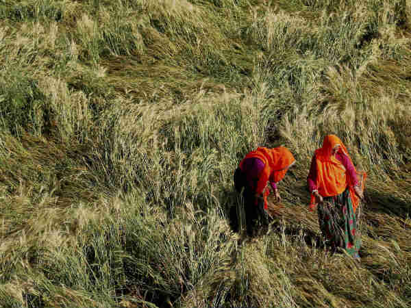 2017 तक हर किसान के पास कार्ड 