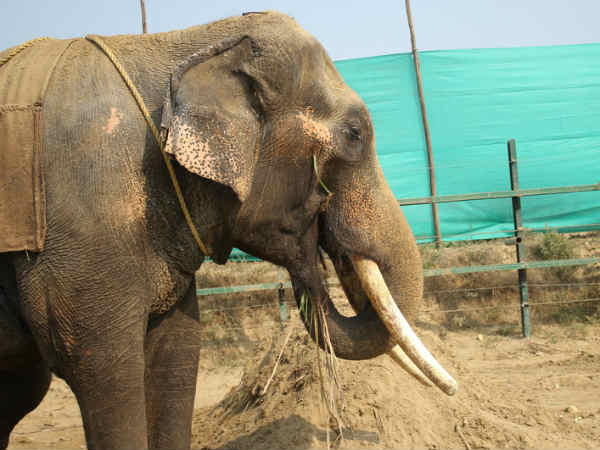 20 दिसंबर को हुआ रेस्‍क्‍यू ऑपरेशन 