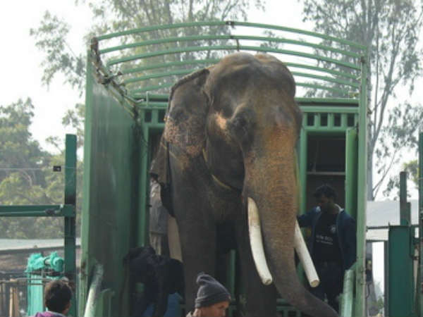 कैद से हुआ आजाद 