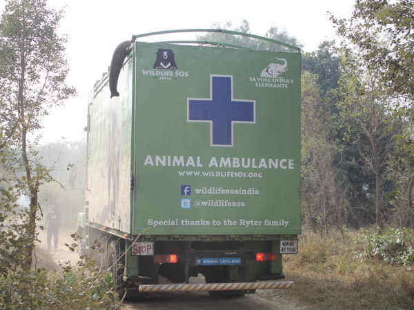 पूरे दिन कंटीले तारों से बंधा रहता था 