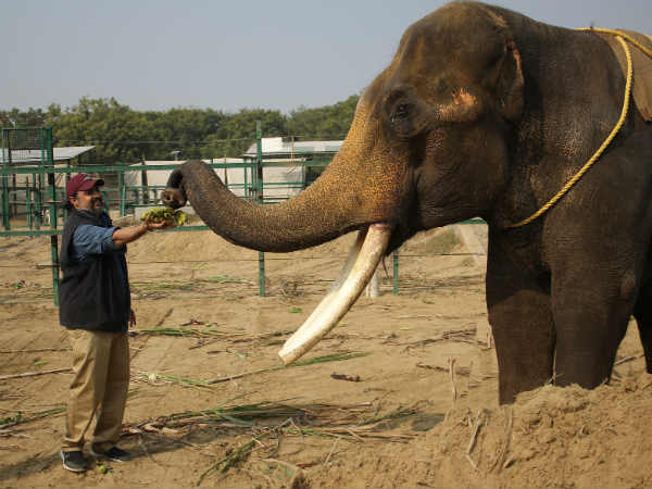 सेंटर में होगा सूरज का इलाज 