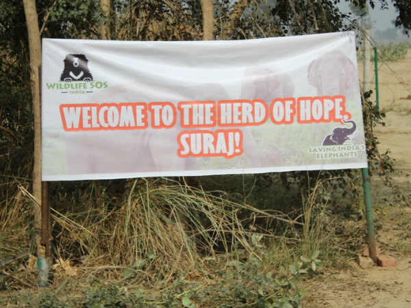 मंदिर ने किया नियमों का उल्‍लंघन 