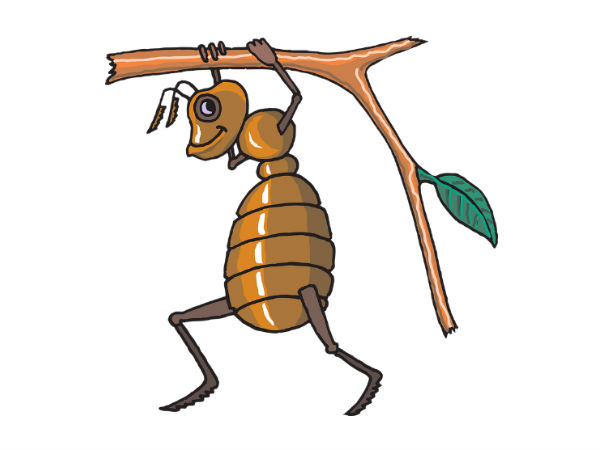 बहुत मेहनती