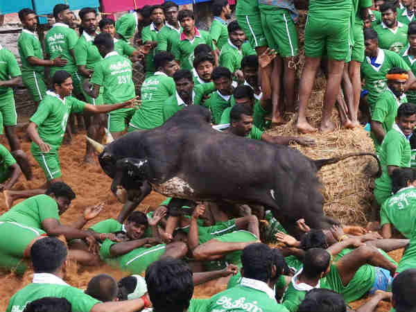 क्यों लगाई रोक?