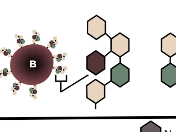 खामियां