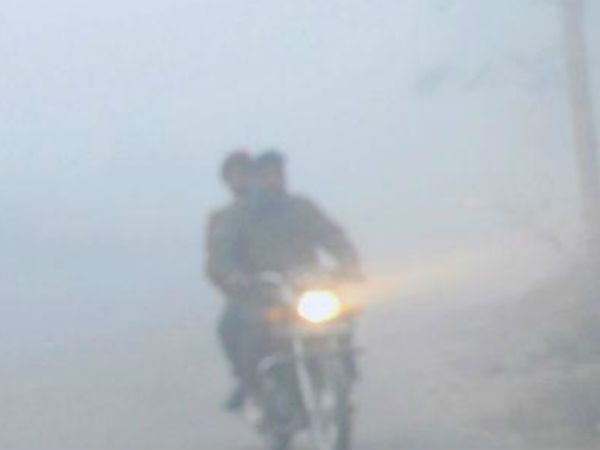  ताजा खाना खाए