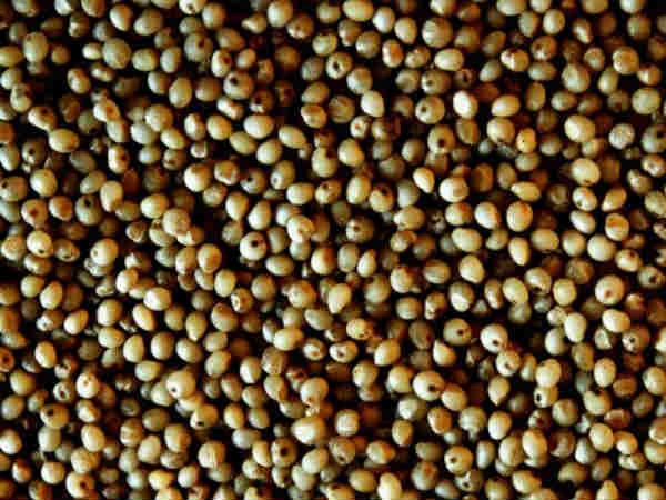 मोटापा नहीं आता मोटापा नहीं आता