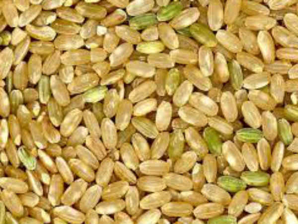 सरकार की कुछ स्कीमें सरकार की कुछ स्कीमें