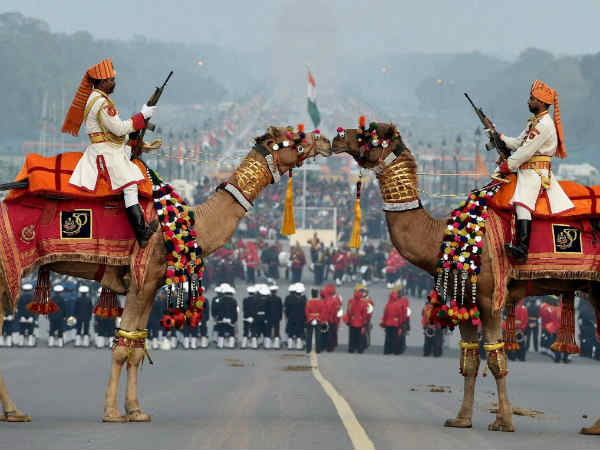 इकलौता ऊंट दस्ता