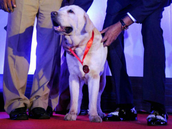 शौर्य चक्र और सेना मेडल से होते हैं सम्‍मानित 