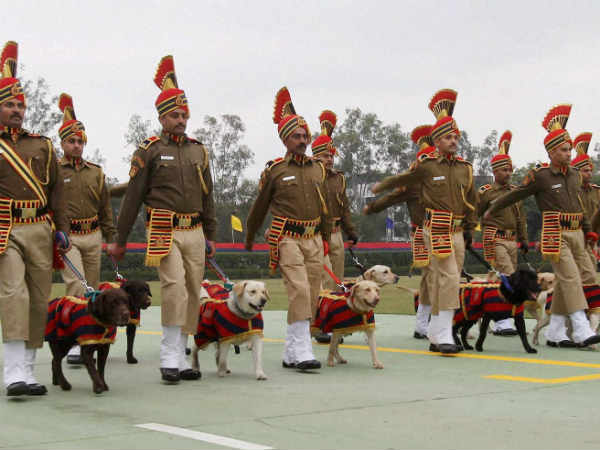 दे रहे हैं अपनी सेवाएं 