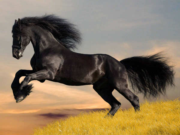 वर्ष 1983 की घटना वर्ष 1983 की घटना