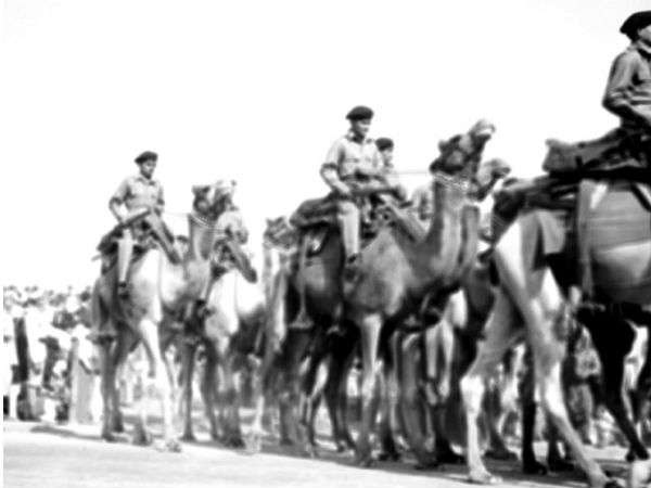 उंट र परेड करते सेना के जवान