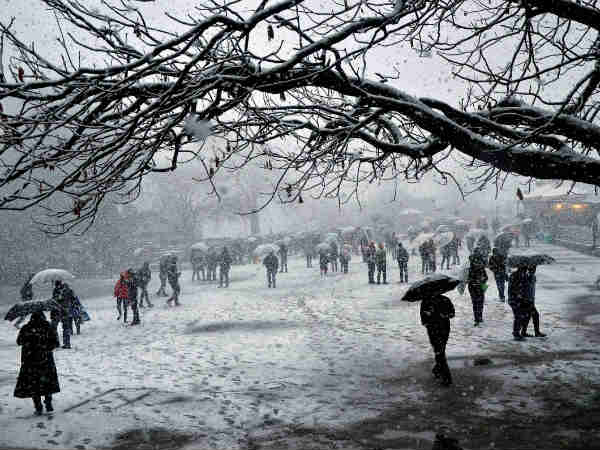 दिल लूट लिया