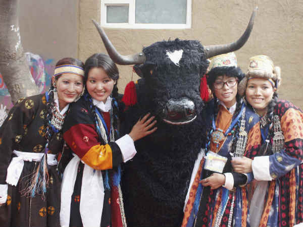 फूड कोर्ट फूड कोर्ट