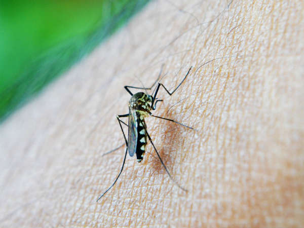 इस सीज़न रहें सचेत