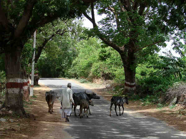 न्यूनतम घनत्व वाले शहर