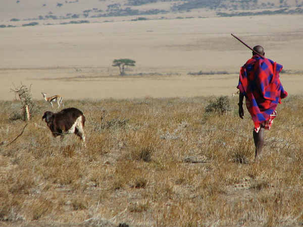 शरीर पर लगाते हैं मांस