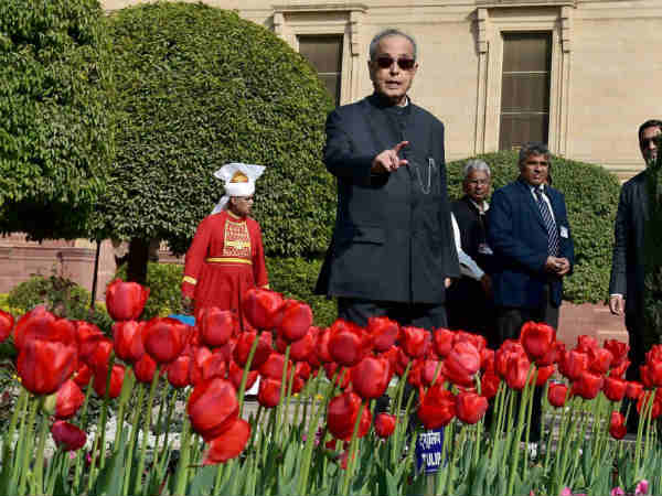 मुगल गार्डेन में खास