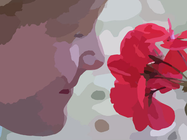 फैरोमॉन