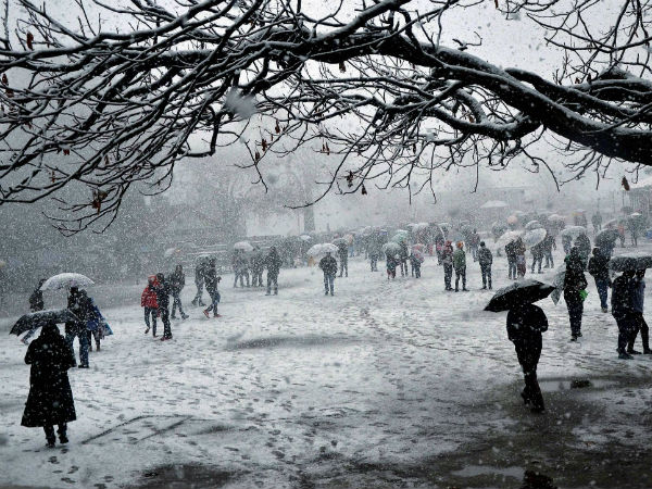  वैलेंटाइन डे का उत्साह दोगुना 