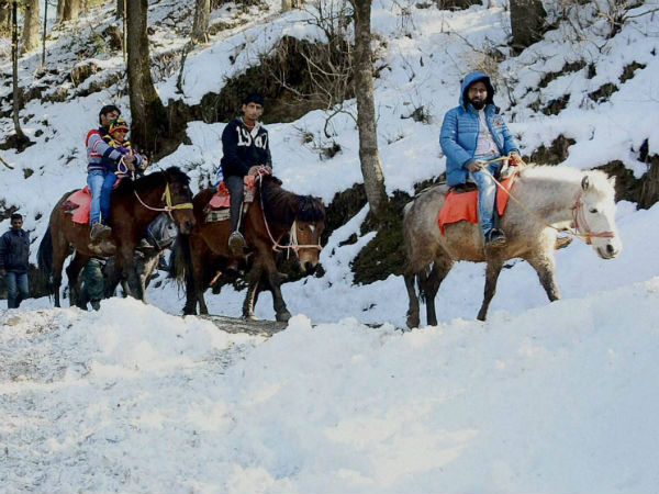 बर्फ की सफेद चादर 