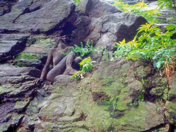 ध्यान से देखें फोटो