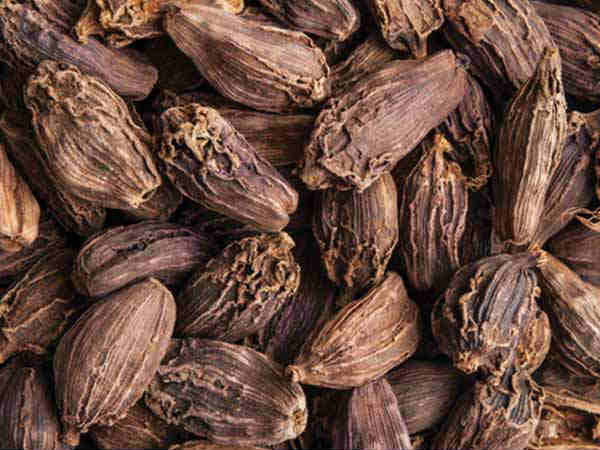 स्टडी के लिए स्टडी के लिए