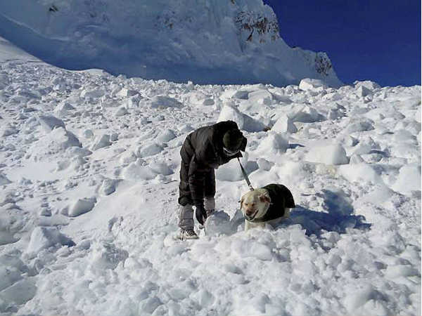 रेस्‍क्‍यू डॉग सबसे अहम 