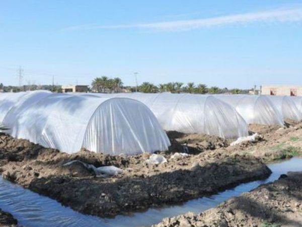 क्‍या सोच रहा है आईएसआईएस 