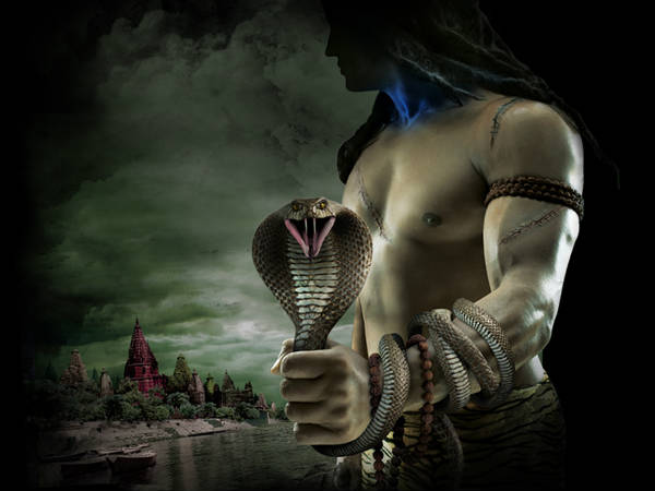 कभी बुराई या नाइंसाफी बर्दाश्‍त न करें 