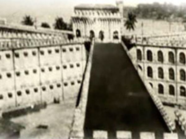 सेल्युलर जेल