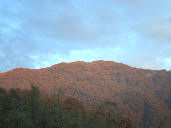 न्योरा घाटी राष्ट्रीय उद्यान