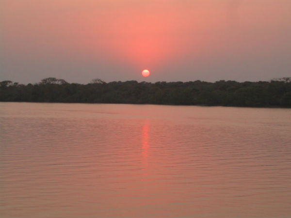 भीतरकणिका संरक्षण क्षेत्र