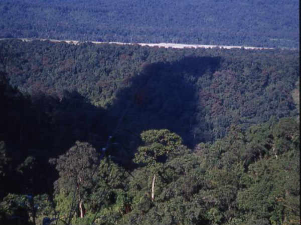 नमदाफा राष्ट्रीय उद्यान