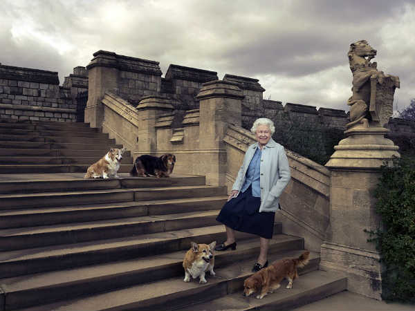 कोर्गी से है क्‍वीन को लगाव 