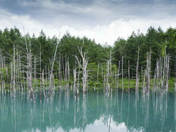 Parents left their seven year old kid in jungle in Japan for punishment Parents left their seven year old kid in jungle in Japan for punishment