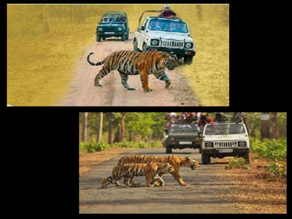दूसरे दिन