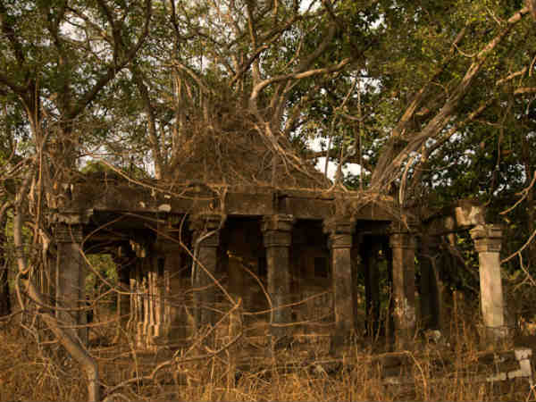 मध्‍य प्रदेश