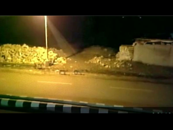 lion on road lion on road