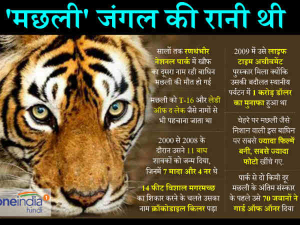 1997 में हुआ था जन्‍म 