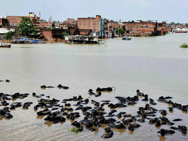 एनडीआरएफ की टीमें रवाना