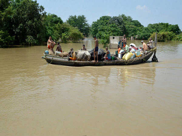 मवेशियों के लिए है संकट